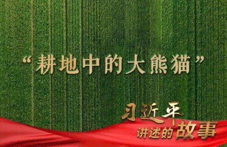 习近平讲述的故事｜“耕地中的大熊猫”