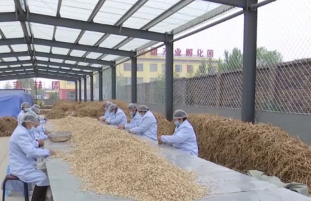 《中医药法》实施五年 国家加大对中医药产业扶持力度