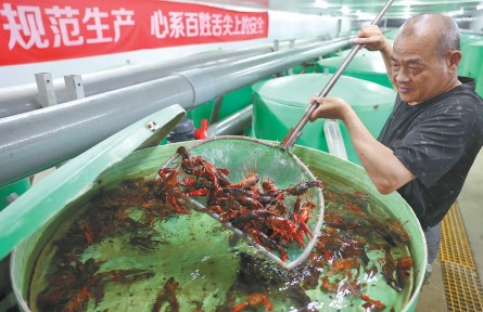 北京通州：“一村一品”助力乡村振兴