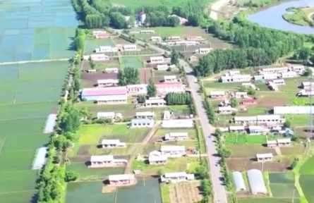 黑龙江创新引才方式 助力乡村振兴