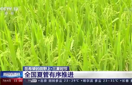 三分种七分管 全国夏管有序推进