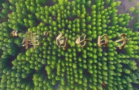 说说我的绿色获得感 |“犇”向好日子
