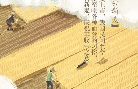 夏至丨喜尝新麦！你最爱吃哪款面食？