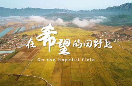 “农民院士”朱有勇续写乡村振兴新篇章
