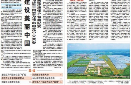 “弱鸟先飞”的宁德实践