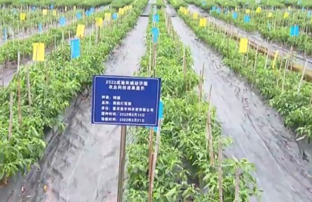 实施五大行动 重庆将全力打造西部种业高地