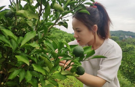 “90后”海归女硕士肖源：让新农人的梦想在荒山开花结果