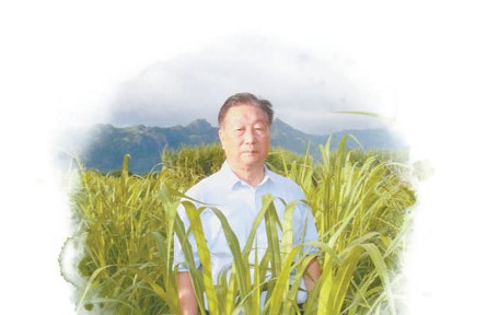 为了让菌草造福世界