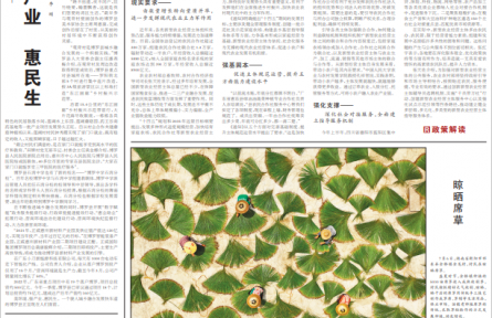 加快培育现代农业“领头雁”