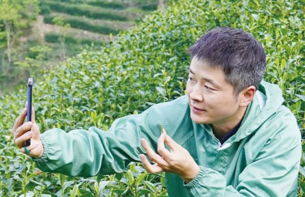 青年茶农周正祥：“手艺人”也是“守艺人”