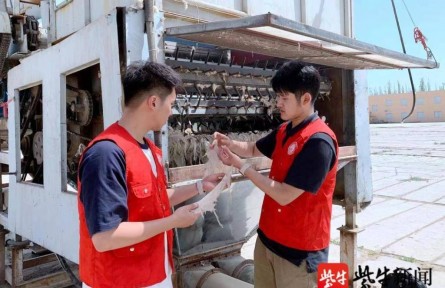 效率提高20倍！南京林业大学学子发明智能分拣系统，助力新疆长绒棉丰产增收