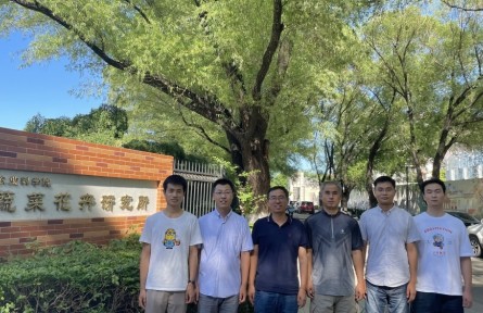 中国农科院胡萝卜遗传育种团队：打破“洋种子”垄断 蹚出育种新路
