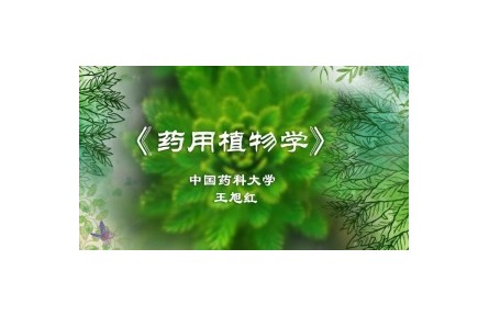 《药用植物学》讲座系列视频