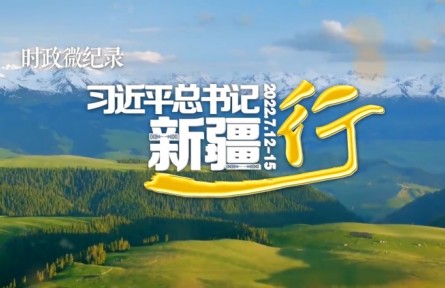 习近平总书记新疆行
