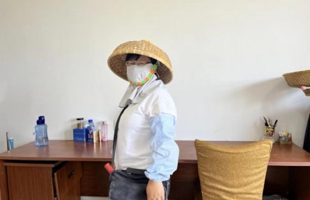 “水稻博士”周红英：16年，只为一粒优良种子