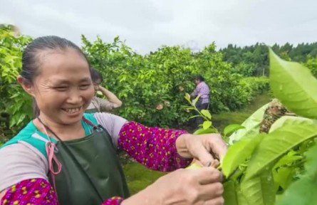 理响巴蜀 | 用“初心”担起“振兴”使命
