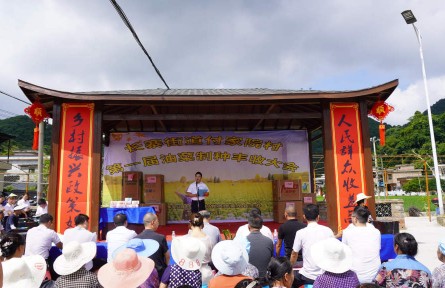贵州黔南长顺：夏粮丰收“后劲”足 乡村振兴“钱景”好