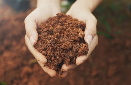 科技名词 | 土壤有机质  soil organic matter