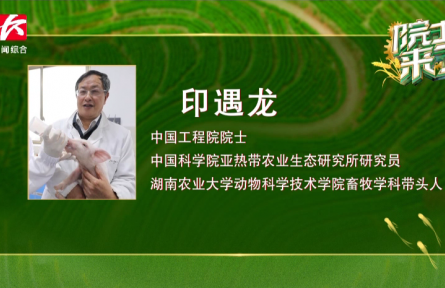 “养猪院士”印遇龙：用科技帮助农民“养好猪、好养猪”