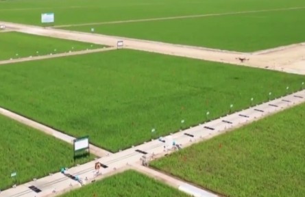 黑龙江：科技助力 夏管“添翼”