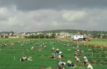 云南：稳住重点人群收入 全力兜牢民生底线