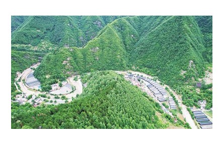 金米村是如何实现“多金又多米”的——陕西省柞水县金米村牢记嘱托发展扶贫产业推动乡村全面振兴的实践探索