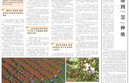 人才聚乡村 发展添活力