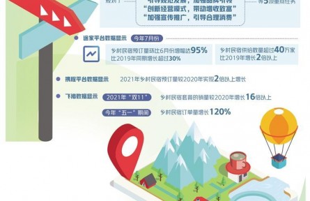 乡村民宿如何提质发展