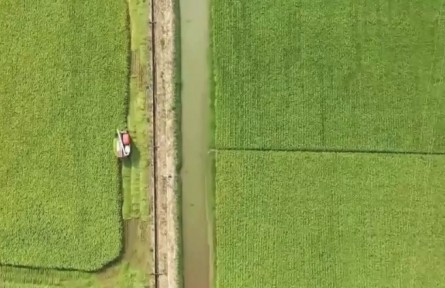 夏收夏种进行时 颗粒归仓迎丰收