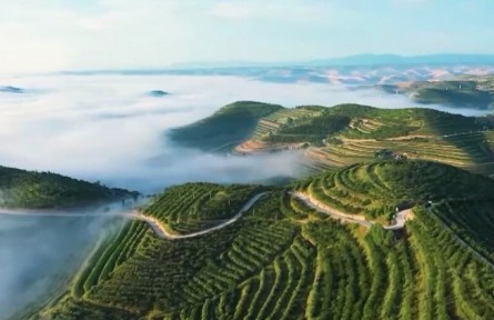 【奋进新征程 建功新时代·非凡十年】奋力谱写现代化美丽新宁夏壮丽篇章