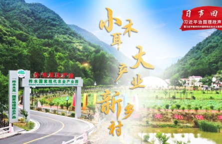陕西：小木耳 大产业 新乡村