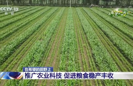 数字信息采集、肥水一体化自动灌溉……这些智慧农业设施帮助农民抗旱保丰收