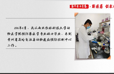邹勇：硕士毕业后，我在小山村里当“牛倌”