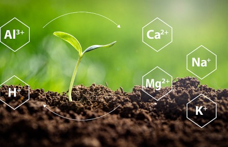 科技名词 | 阳离子交换量    cation exchange capacity，CEC