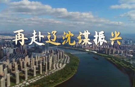 再赴辽沈谋振兴