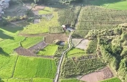 各地多措并举抗高温保民生
