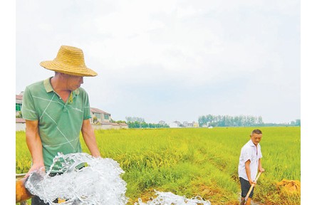 保障生活生产用水 努力夺取秋粮丰收