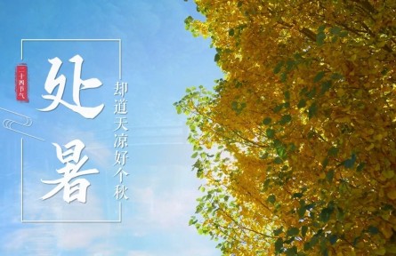 处暑，却道天凉好个秋