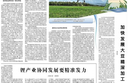 大豆玉米复合种植还需闯关