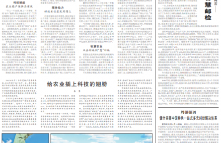 科技助农 更多乡亲挑上“金扁担”