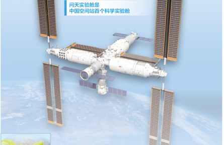 在中国空间站种植物