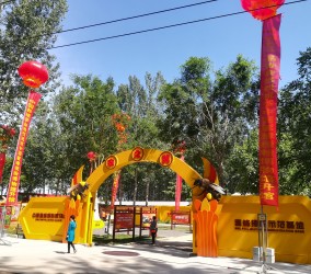 蜂为媒风采