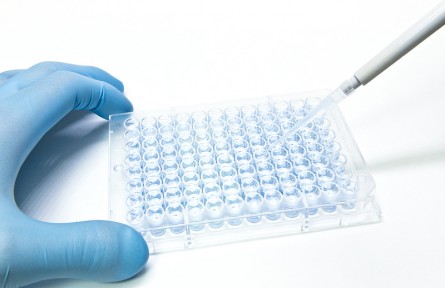 科技名词 | 毒性试验  toxicity test