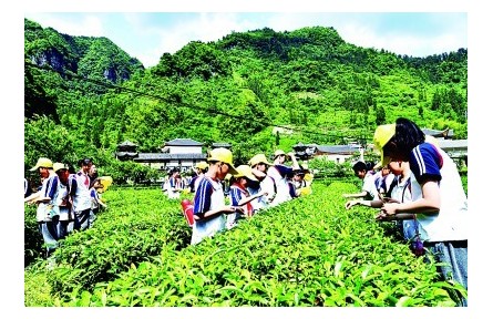 “耕”以强体，“读”以润心——我国耕读教育开展情况调研报告