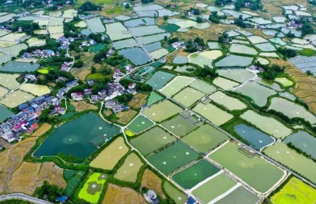 重庆梁平：在全国率先推广“乡村小微湿地+”