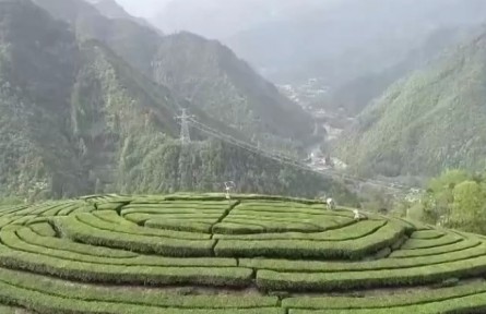 湖北：技术下乡 服务下沉 助力灾后田管