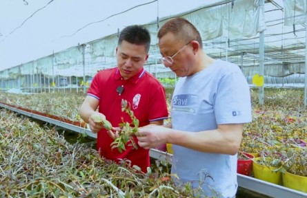 陈世豪：争做担当有为的新农人