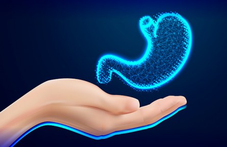 胃越撑越大、越饿越小是真的吗？