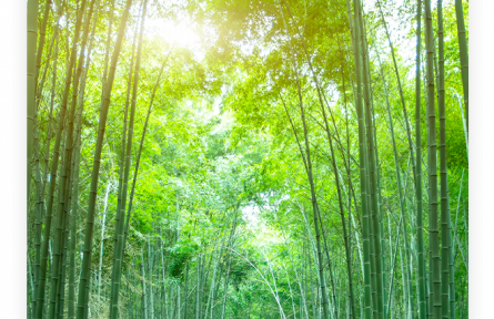 名言 | 孔子：君子不以言举人，不以人废言