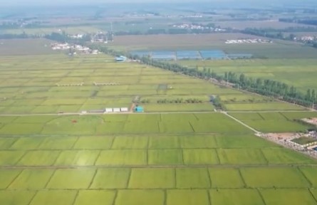 湖北：做足“功课”迎秋收